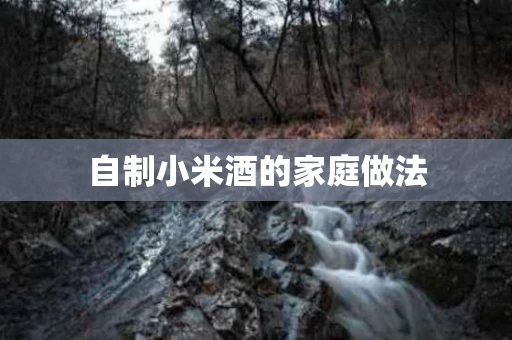 自制小米酒的家庭做法