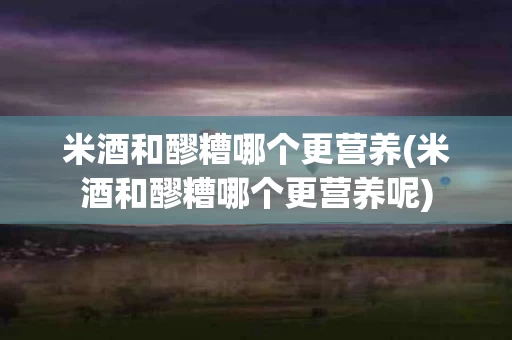米酒和醪糟哪个更营养(米酒和醪糟哪个更营养呢)