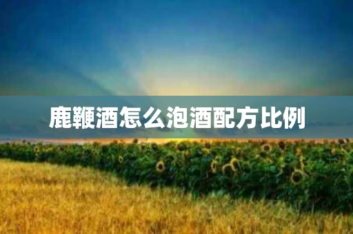 鹿鞭酒怎么泡酒配方比例