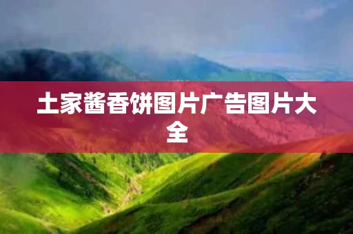 土家酱香饼图片广告图片大全