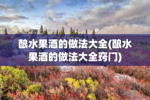 酿水果酒的做法大全(酿水果酒的做法大全窍门)