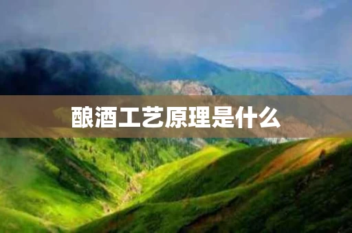 酿酒工艺原理是什么