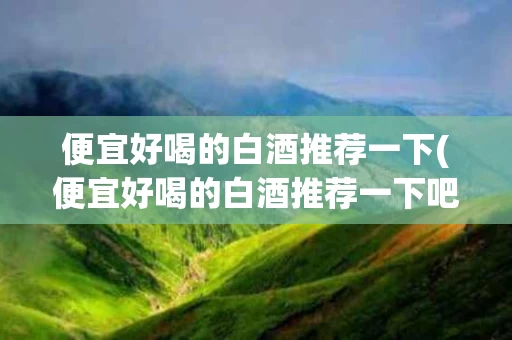 便宜好喝的白酒推荐一下(便宜好喝的白酒推荐一下吧)