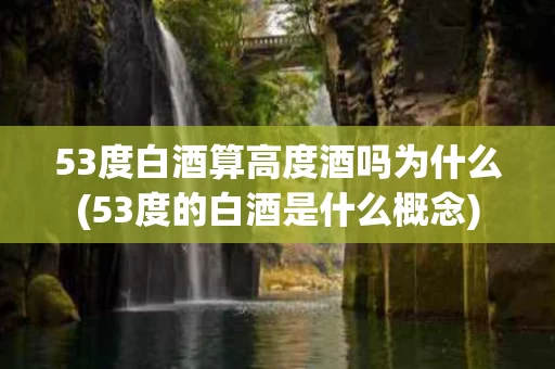 53度白酒算高度酒吗为什么(53度的白酒是什么概念)