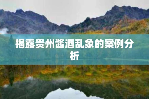 揭露贵州酱酒乱象的案例分析