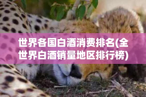 世界各国白酒消费排名(全世界白酒销量地区排行榜)