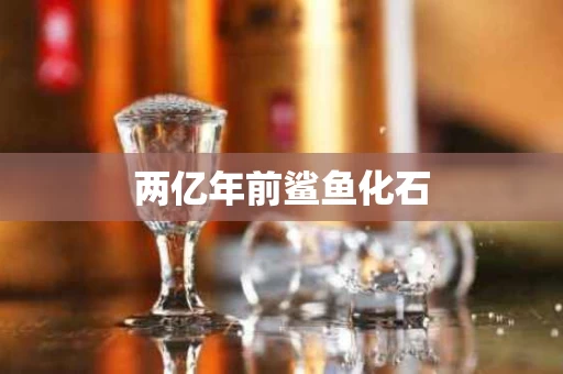 两亿年前鲨鱼化石