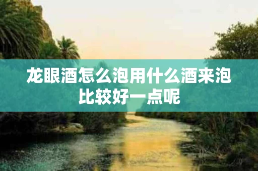 龙眼酒怎么泡用什么酒来泡比较好一点呢