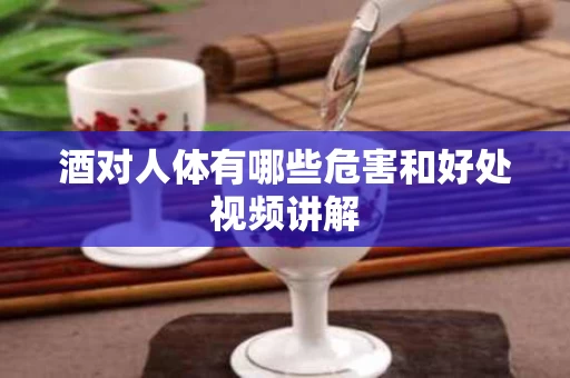 酒对人体有哪些危害和好处视频讲解
