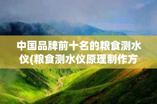 中国品牌前十名的粮食测水仪(粮食测水仪原理制作方法)