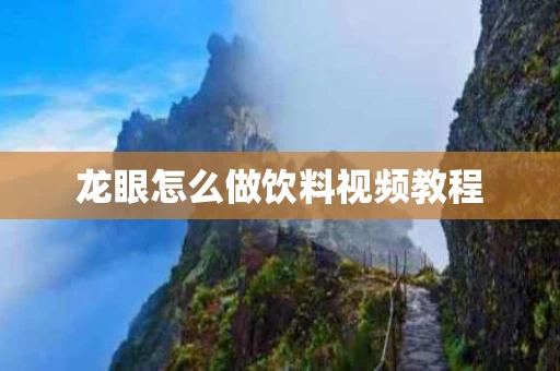 龙眼怎么做饮料视频教程