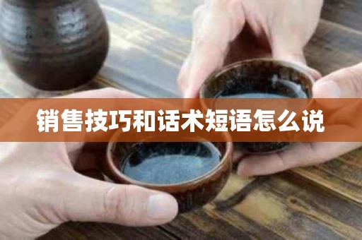 销售技巧和话术短语怎么说