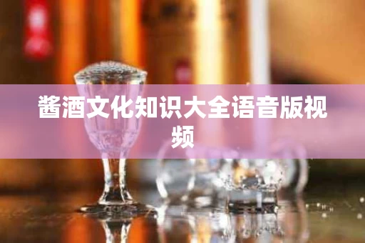 酱酒文化知识大全语音版视频