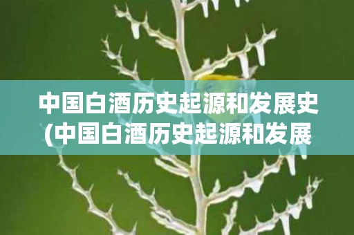 中国白酒历史起源和发展史(中国白酒历史起源和发展史图片)