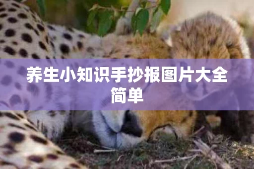 养生小知识手抄报图片大全简单