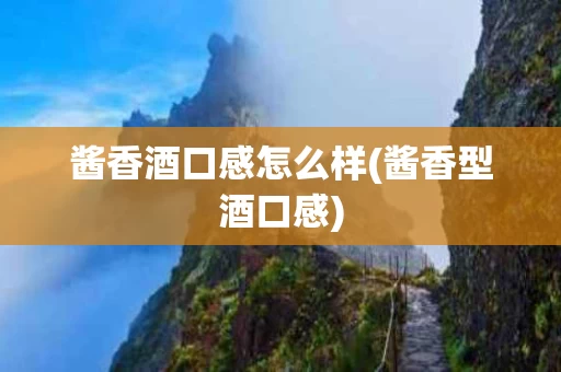 酱香酒口感怎么样(酱香型酒口感)
