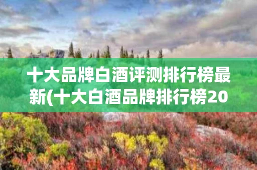 十大品牌白酒评测排行榜最新(十大白酒品牌排行榜2019年)