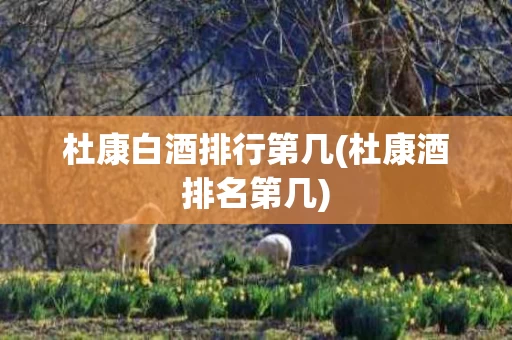 杜康白酒排行第几(杜康酒排名第几)