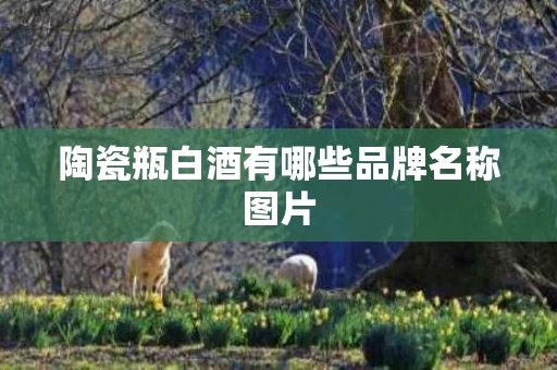 陶瓷瓶白酒有哪些品牌名称图片