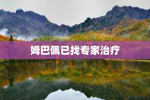 姆巴佩已找专家治疗