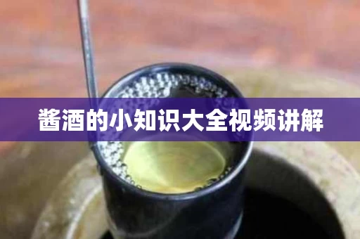 酱酒的小知识大全视频讲解