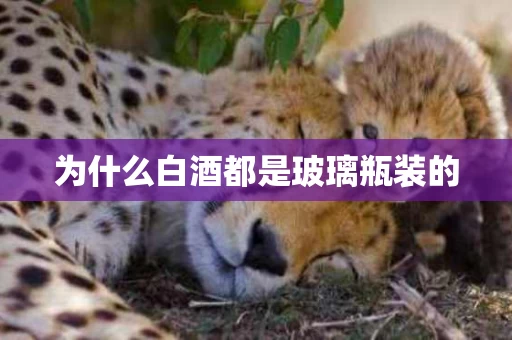 为什么白酒都是玻璃瓶装的