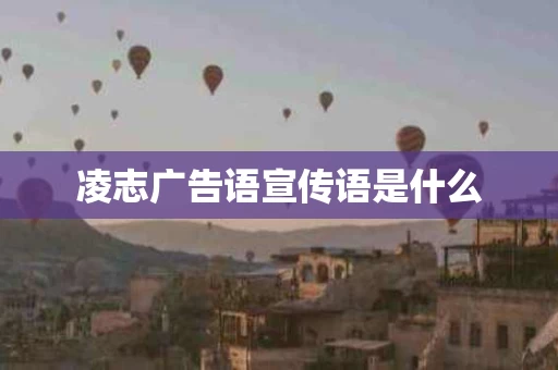 凌志广告语宣传语是什么