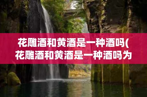 花雕酒和黄酒是一种酒吗(花雕酒和黄酒是一种酒吗为什么)