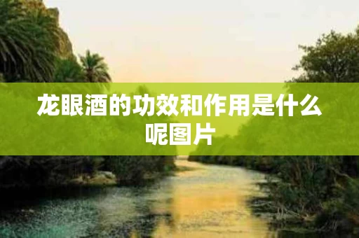 龙眼酒的功效和作用是什么呢图片