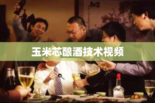 玉米芯酿酒技术视频