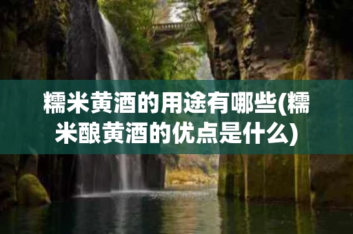 糯米黄酒的用途有哪些(糯米酿黄酒的优点是什么)