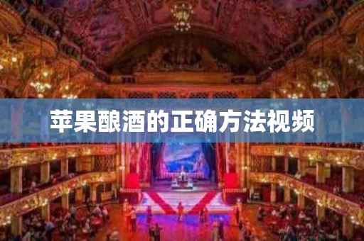 苹果酿酒的正确方法视频