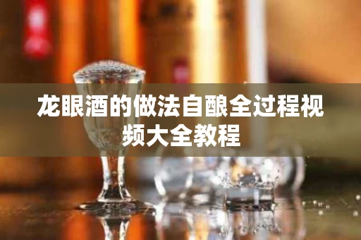 龙眼酒的做法自酿全过程视频大全教程