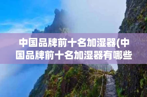 中国品牌前十名加湿器(中国品牌前十名加湿器有哪些)