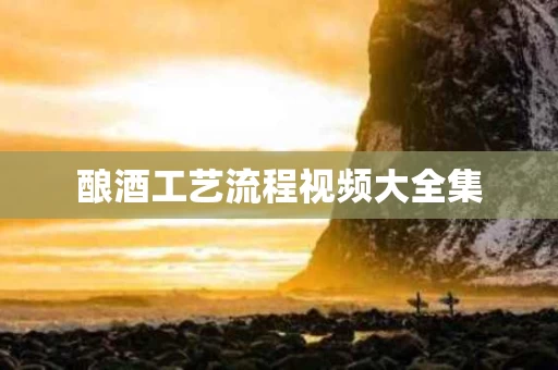 酿酒工艺流程视频大全集