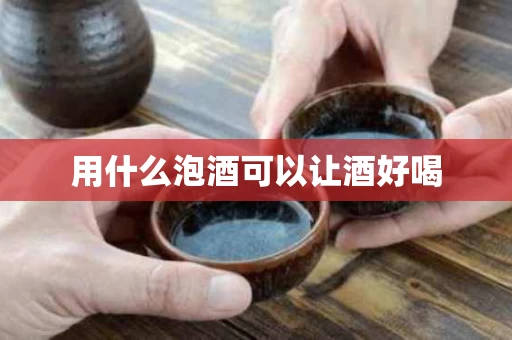 用什么泡酒可以让酒好喝