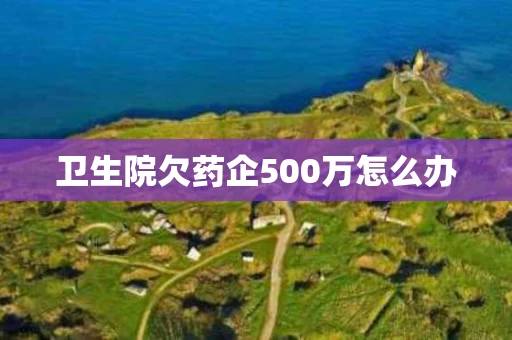 卫生院欠药企500万怎么办