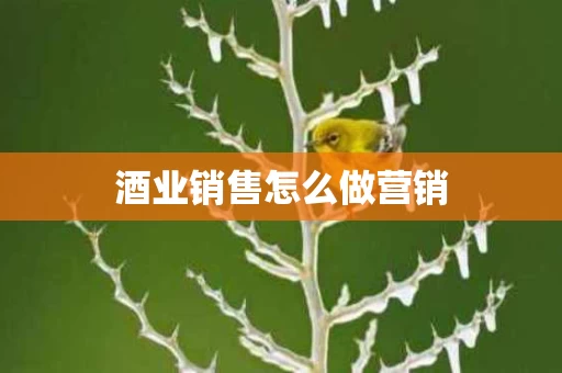 酒业销售怎么做营销