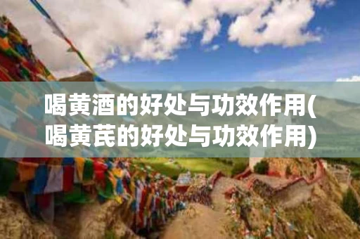 喝黄酒的好处与功效作用(喝黄芪的好处与功效作用)