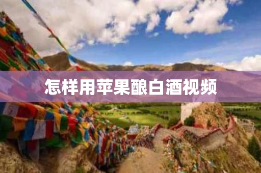 怎样用苹果酿白酒视频