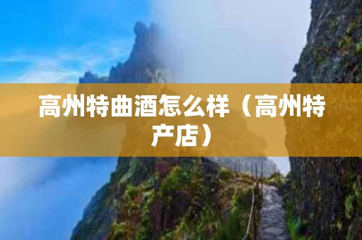 高州特曲酒怎么样（高州特产店）