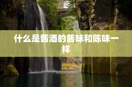 什么是酱酒的酱味和陈味一样