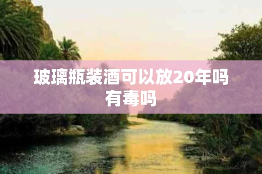 玻璃瓶装酒可以放20年吗有毒吗