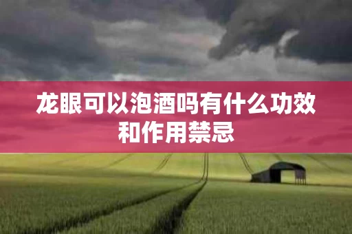 龙眼可以泡酒吗有什么功效和作用禁忌