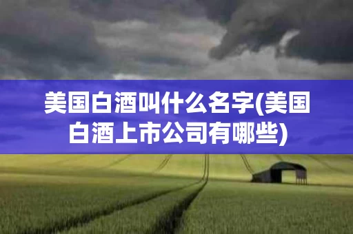 美国白酒叫什么名字(美国白酒上市公司有哪些)