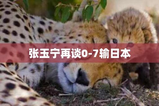 张玉宁再谈0-7输日本