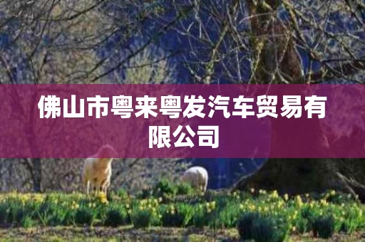 佛山市粤来粤发汽车贸易有限公司