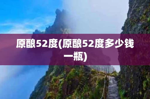原酿52度(原酿52度多少钱一瓶)