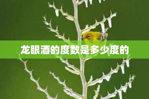 龙眼酒的度数是多少度的