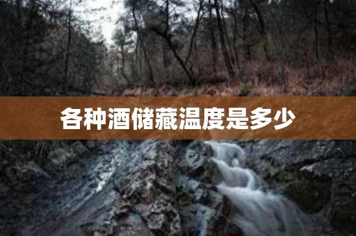 各种酒储藏温度是多少